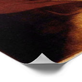 Poster Anatomie/Squelette de l'affiche arrière féminine (Coin)