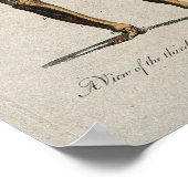 Poster Anatomie vintage (Coin)