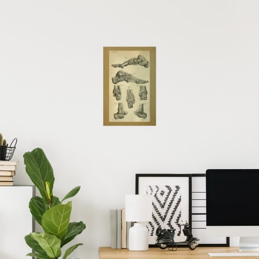 Poster Anatomie Vintage 1850 (Bureau à domicile)