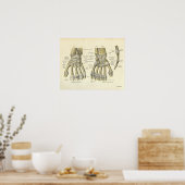 Poster Anatomie vintage Bones d'impression de poignet mai (Cuisine)