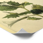 Poster Anatomie Vintage de l'épaule (Coin)