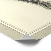 Poster Anatomie vintage des veines vertébrales 1831 Impri (Coin)