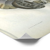 Poster Anatomie Vintage du cerveau humain Imprimer (Coin)