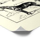 Poster Anatomie vintage du cheval (Coin)