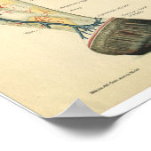 Poster Anatomie vintage du cheval Imprimer le capot (Coin)