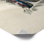 Poster Anatomie Vintage du cou humain (Coin)