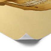 Poster Anatomie Vintage du crâne humain (Coin)