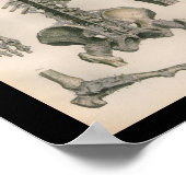 Poster Anatomie vintage Imprimer Joints de colonne (Coin)