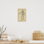 Poster Anatomie vintage Imprimer Squelette humain (Cuisine)