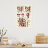 Poster anatomique du nez et du sinus en français (Cuisine)