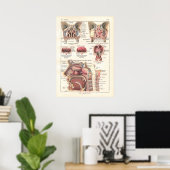 Poster anatomique du nez et du sinus en français (Bureau à domicile)