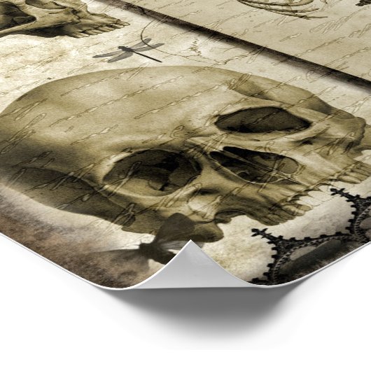 Poster Anatomiser (Coin)