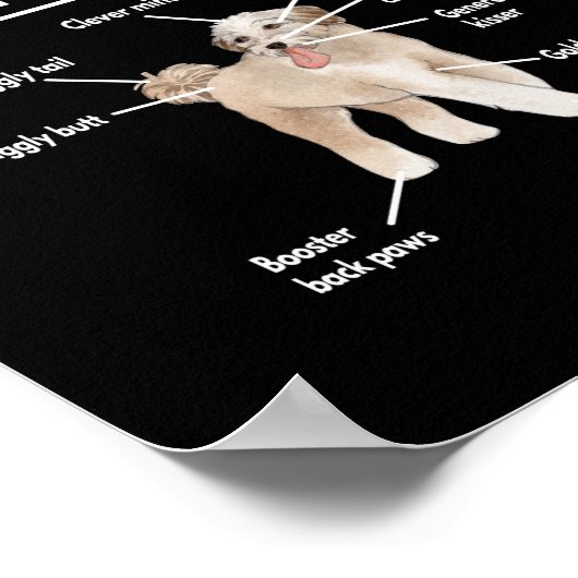 Poster Anatomy (Coin)