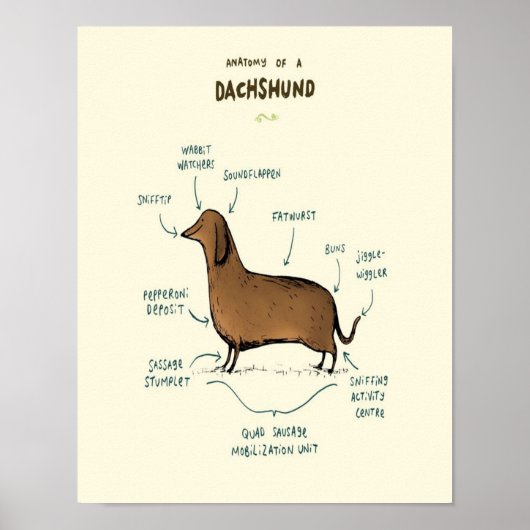 Poster Anatomy | Dog lovers (Devant)