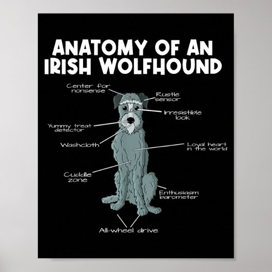 Poster Anatomy Of An Irish Wolfhound  (Devant)