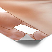 Poster Anatomy Of The Gluteal Muscles In Buttocks (Coin)