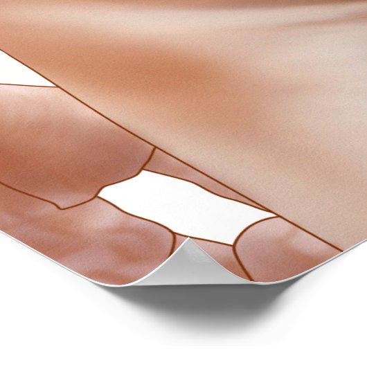 Poster Anatomy Of The Gluteal Muscles In Buttocks (Coin)