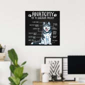 Poster Anatomy Siberian Husky (Bureau à domicile)