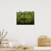 Poster Anavilhanas, Amazonas, Brésil. Rivière de la forêt (Cuisine)