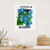 Poster Anchusa (Cuisine)