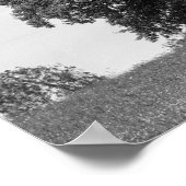 Poster Ancien arbre (Coin)