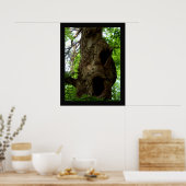 Poster Ancien arbre (Cuisine)