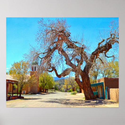 Poster Ancien arbre à pendaisons, Cerrillos, Nouveau-Mexi (Devant)