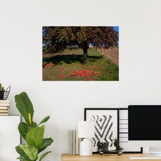 Poster Ancien arbre à pomme (Bureau à domicile)