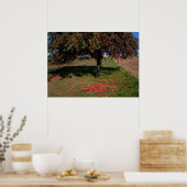 Poster Ancien arbre à pomme (Cuisine)