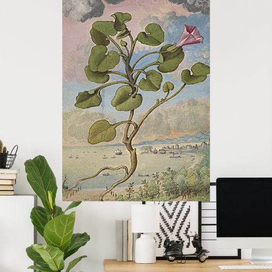 Poster Ancien Bindweed Coastal (Bureau à domicile)