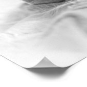 Poster Ancien Carlin (Coin)