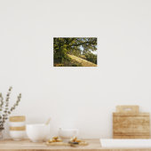 Poster Ancien chêne (Cuisine)