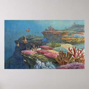 Poster Ancien corail de mer Antique Imprimer