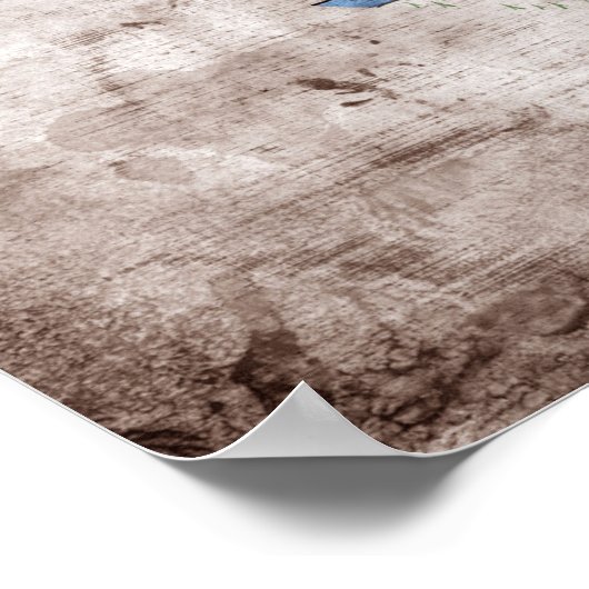 Poster Ancien drapeau Illinois ; (Coin)