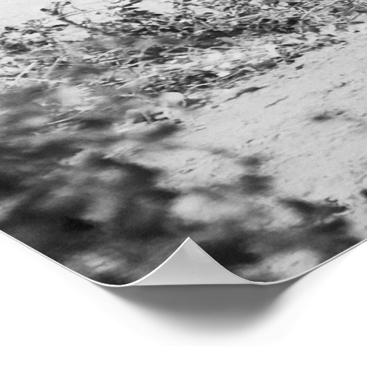 Poster Ancien éléphant (Coin)