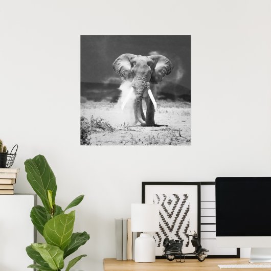 Poster Ancien éléphant (Bureau à domicile)