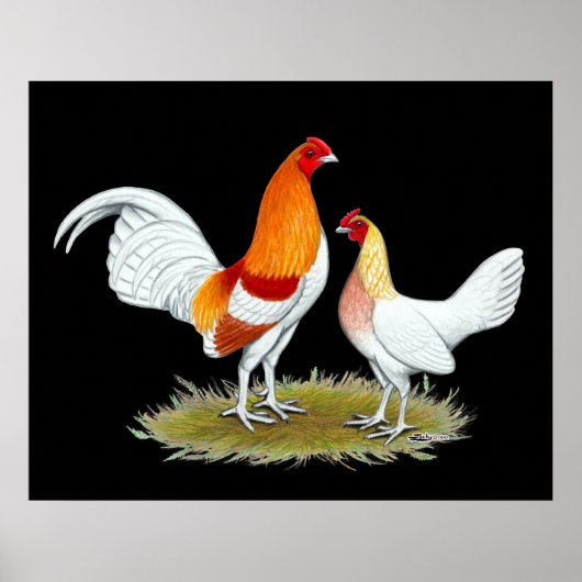 Poster Ancien jeu anglais Bantam : Red Pyle (Devant)