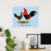 Poster Ancien jeu anglais Bantams : BB Red Pair (Bureau à domicile)