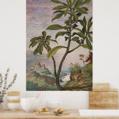 Poster Ancien laurier de l'art botanique (Cuisine)