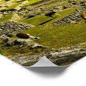 Poster Ancien Machu Picchu, dernier refuge du (Coin)