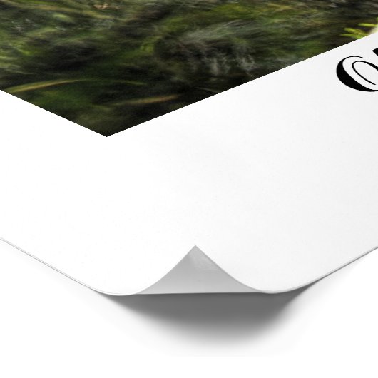 Poster Ancien moulin de Floride (Coin)