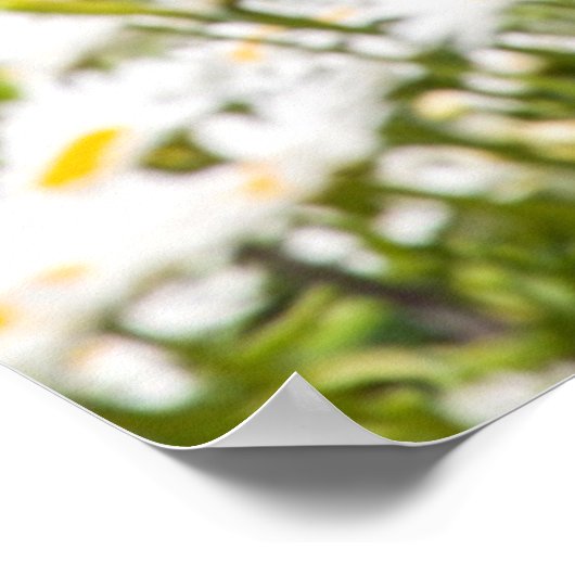 Poster Ancien Phare, Sur Le Lac Kalamazoo, Saugatuck (Coin)