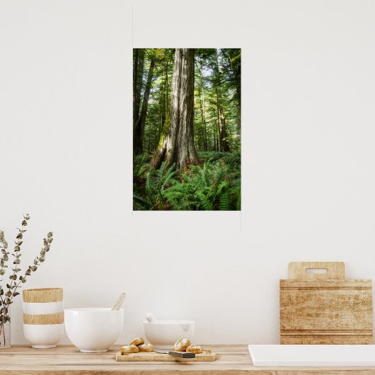 Poster Ancien Timer (Cuisine)
