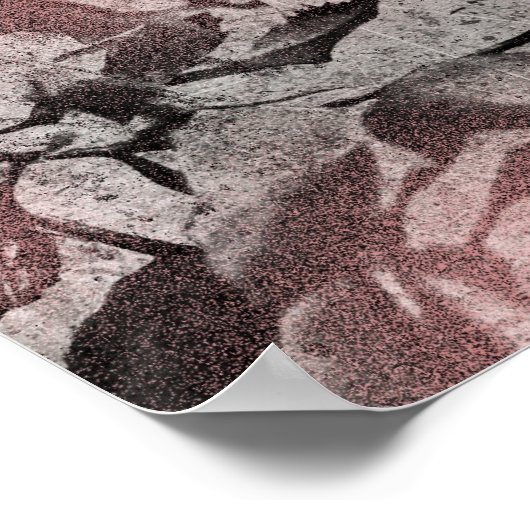 Poster Ancienne clé et Rose (Coin)