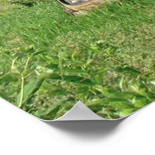 Poster Ancienne grange Pochette de courrier Tabac publici (Coin)