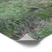 Poster Ancienne Wagon Wheels II (Coin)