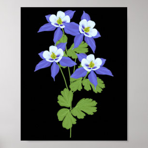 Poster Ancolie du Colorado Fleur Fleur Sauvage Nature Ran