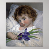 Poster Anderson - Prattling Primrose (Devant)