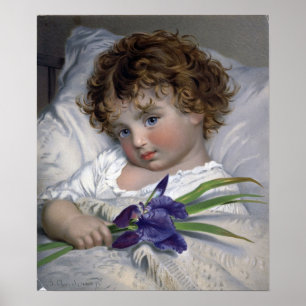Poster Anderson - Prattling Primrose
