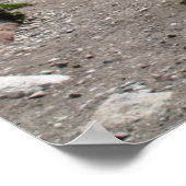 Poster Andes Range, Patagonie (Coin)